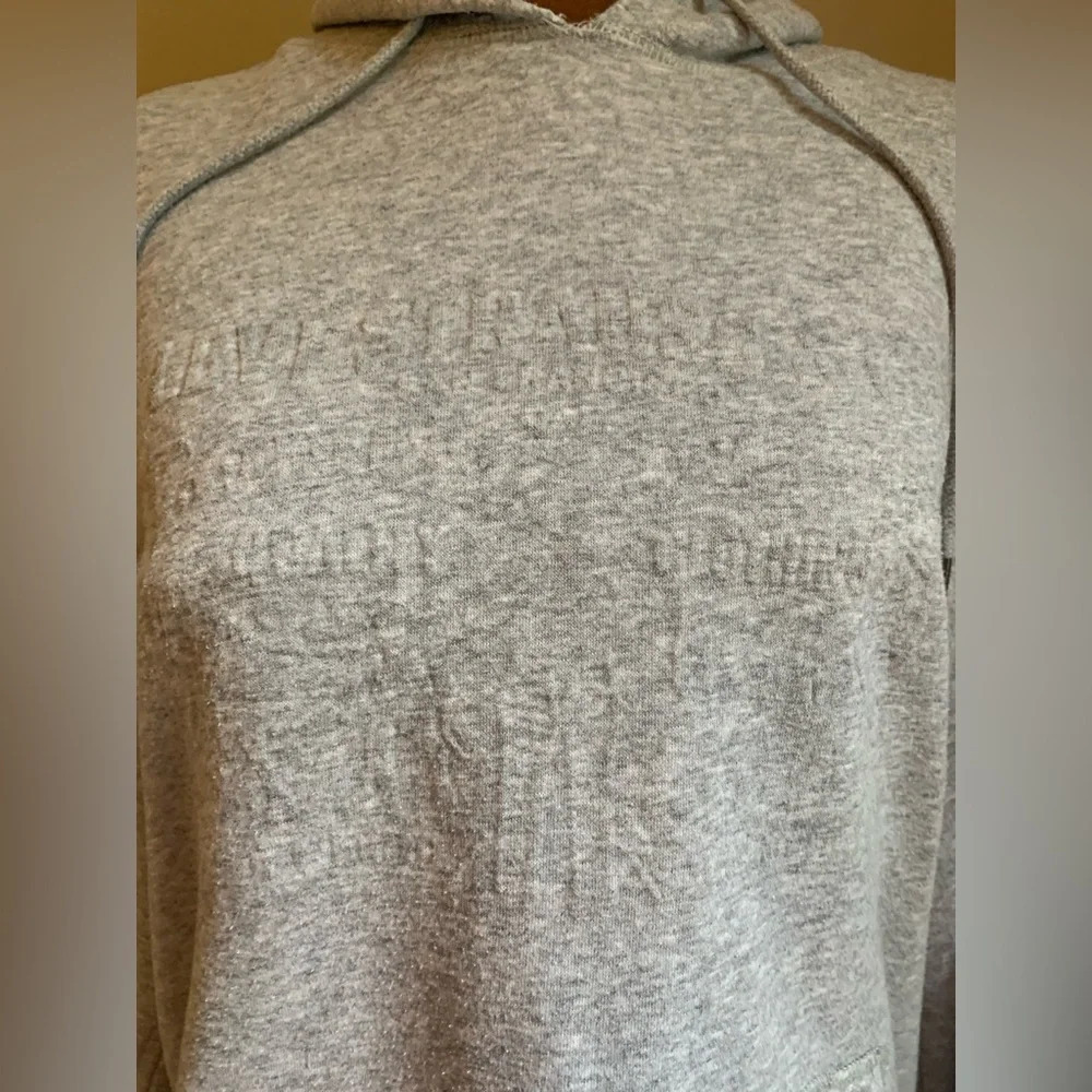 Levi’s gray hooded embossed sweatshirt, hoodie - Picture 2 of 9